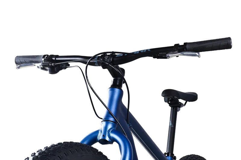 STARK'25 Fat 26.2 D